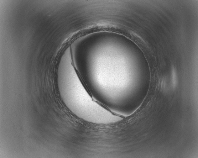 X0000082170776200701191306