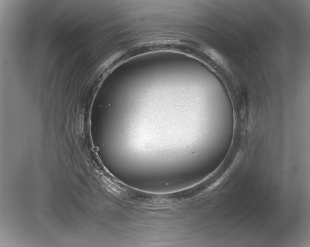 X0000082170777200701191306