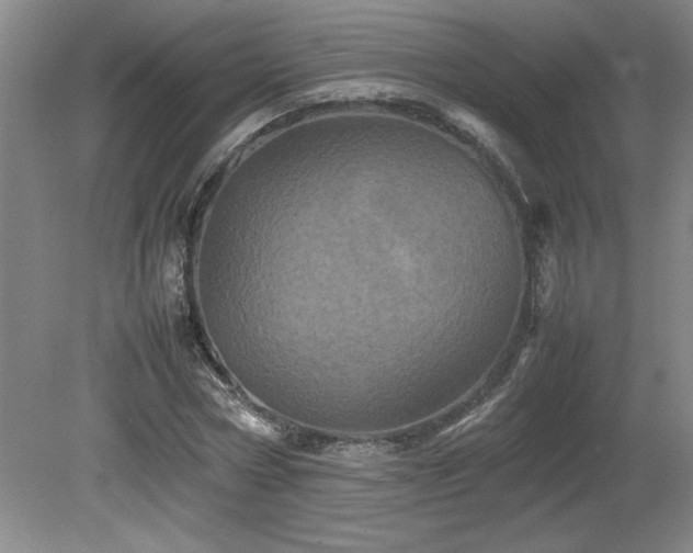 X0000082170778200701191306