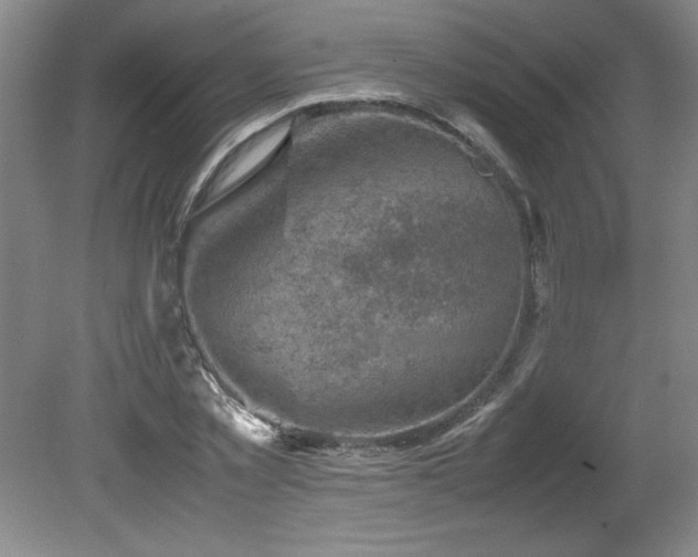 X0000082170781200701191306