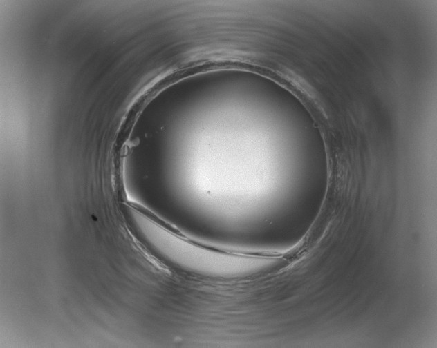 X0000082170782200701191306