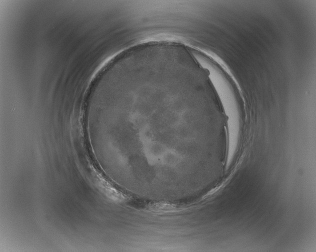 X0000082170783200701191306