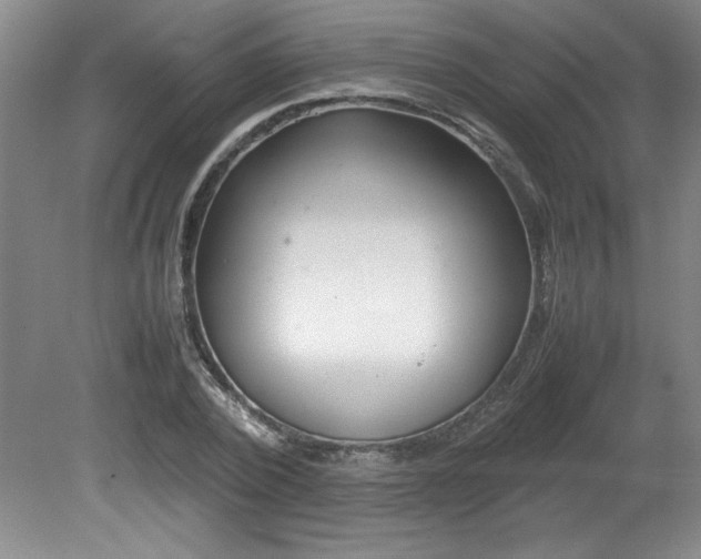 X0000082170784200701191306