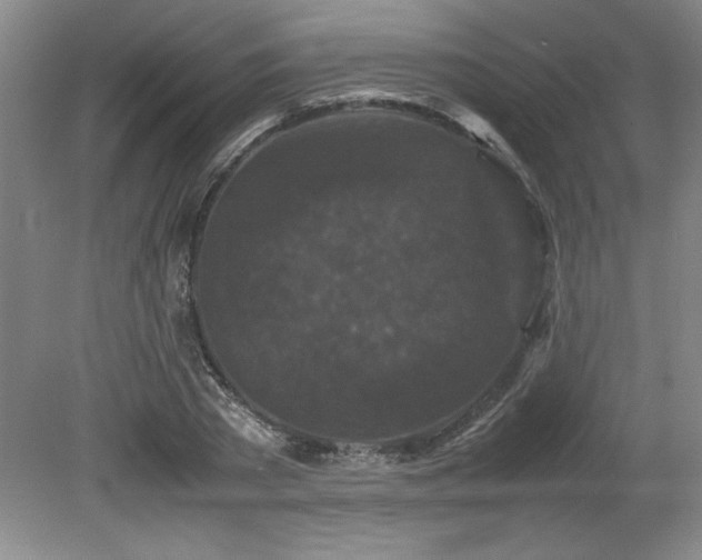 X0000082170785200701191306