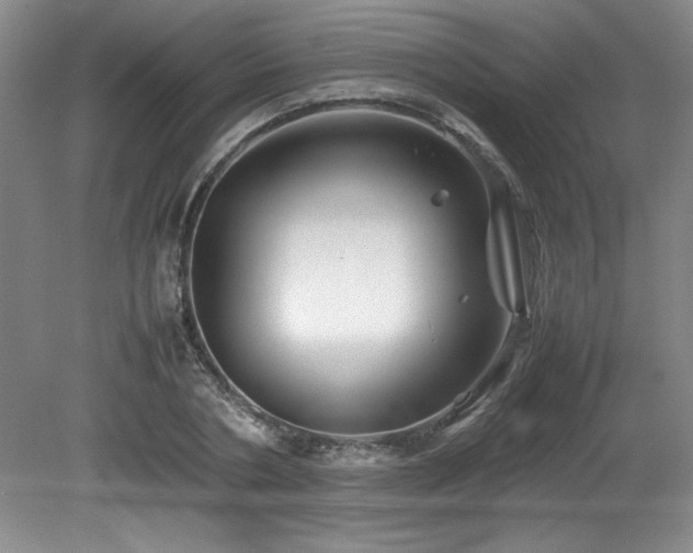 X0000082170786200701191306