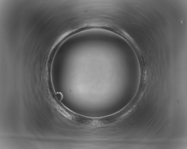 X0000082170787200701191306