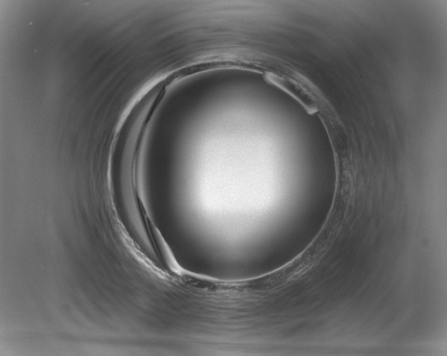 X0000082170788200701191306