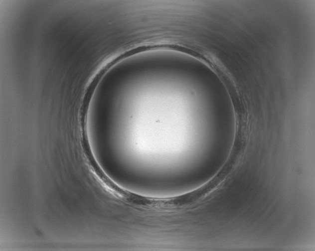 X0000082170789200701191306