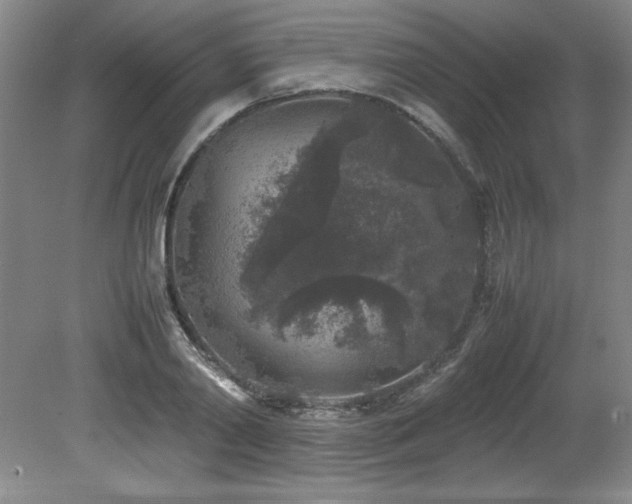 X0000082170790200701191306