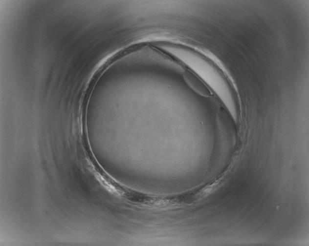 X0000082170791200701191306