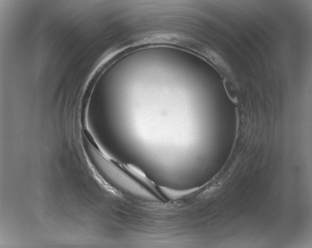 X0000082170792200701191306