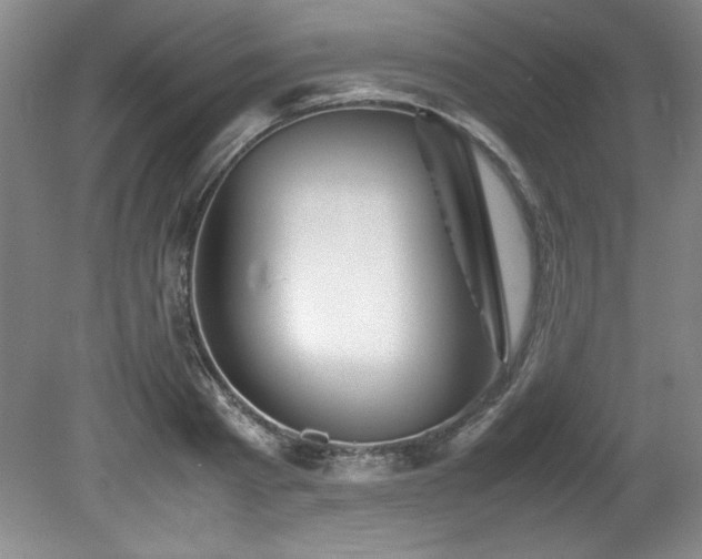 X0000082170793200701191306