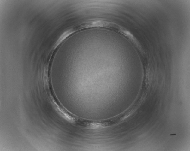 X0000082170794200701191306