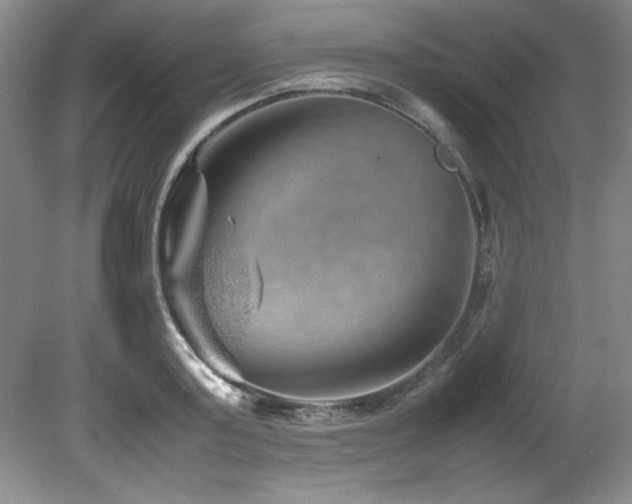 X0000082170795200701191306