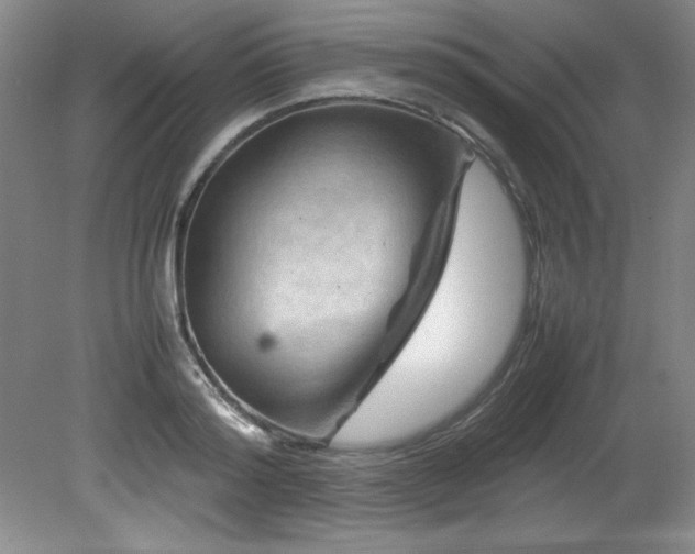 X0000082170796200701191306