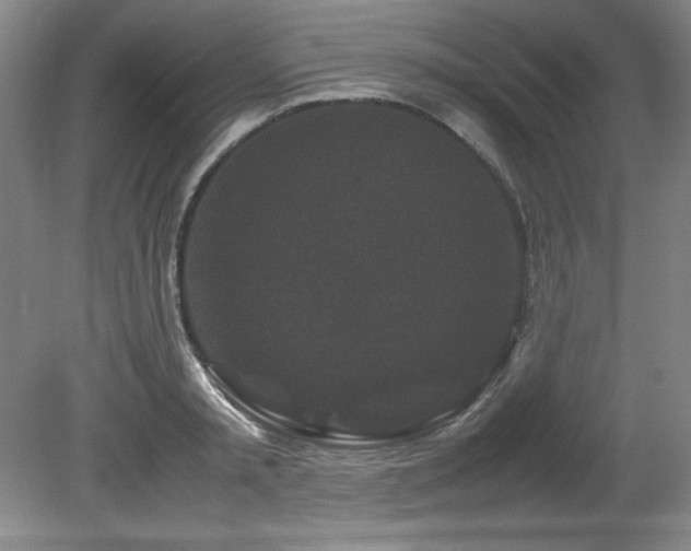 X0000082170797200701191306