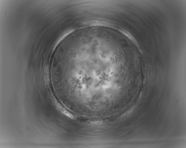 X0000082170798200701191306