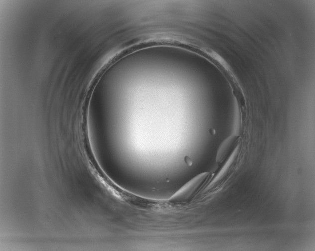 X0000082170799200701191306