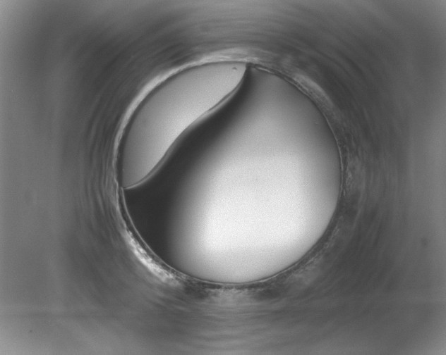 X0000082170800200701191306