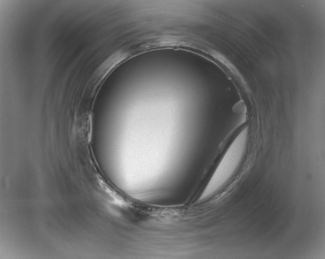 X0000082170801200701191306