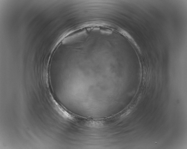 X0000082170802200701191306