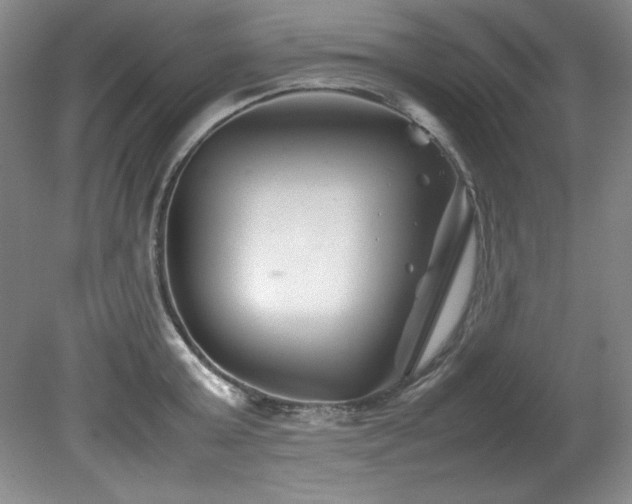 X0000082170803200701191306