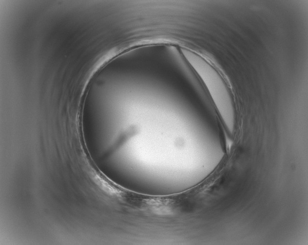 X0000082170805200701191306