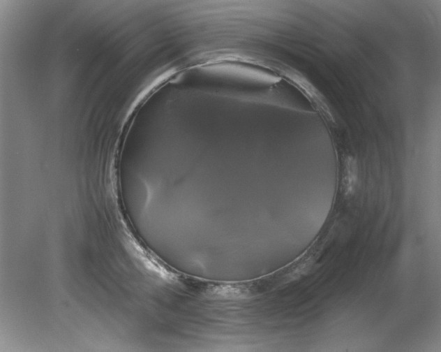 X0000082170806200701191306