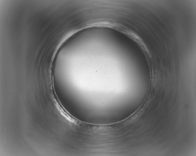 X0000082170808200701191306