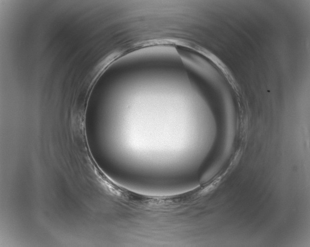 X0000082170809200701191306