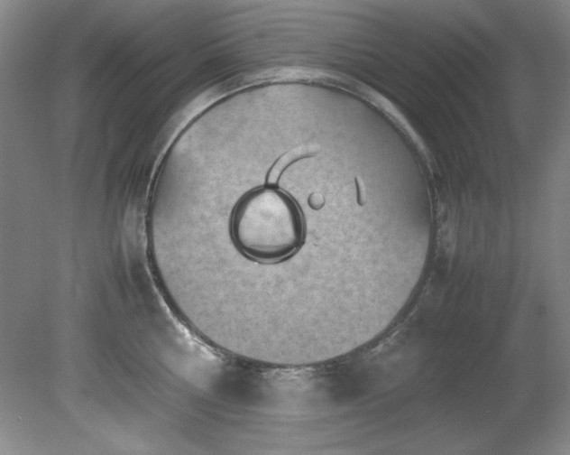 X0000082170810200701191306