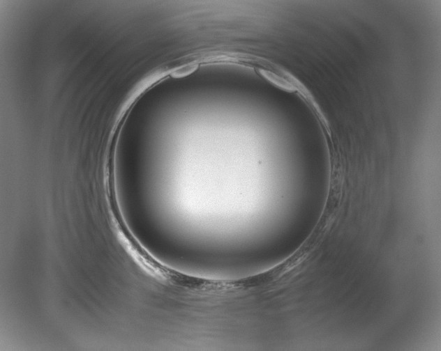 X0000082170811200701191306