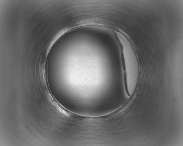 X0000082170812200701191306