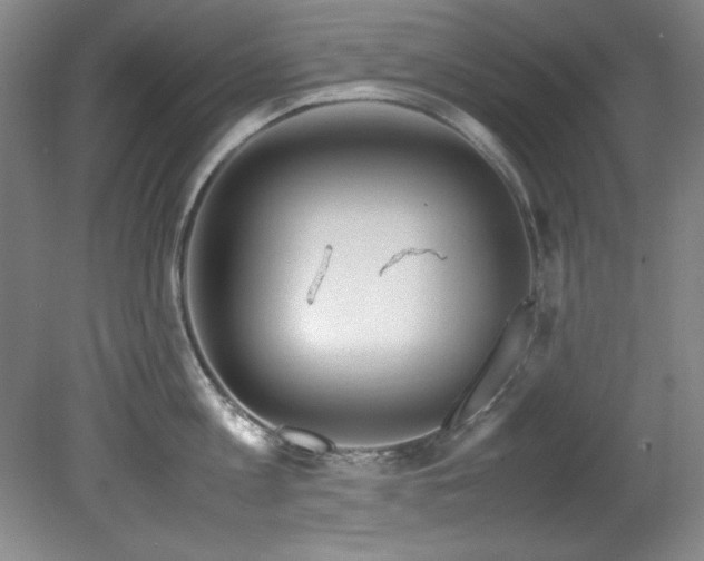 X0000082170813200701191306