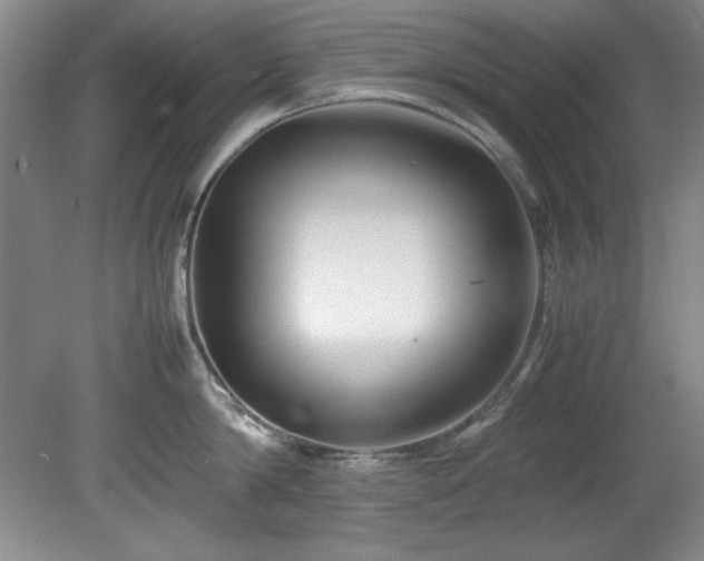 X0000082170814200701191306