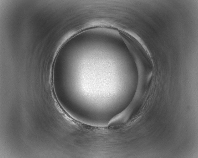 X0000082170815200701191306