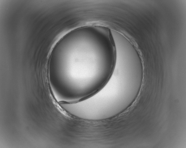 X0000082170816200701191306