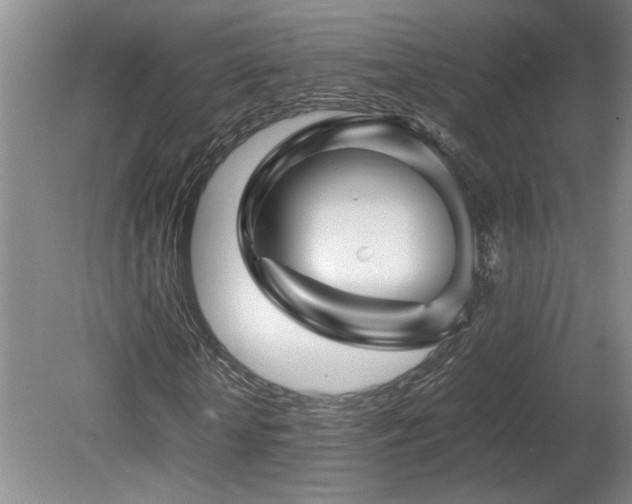 X0000082170818200701191305