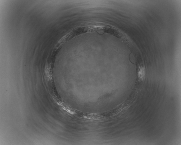 X0000082170819200701191305