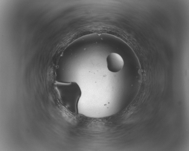 X0000082170820200701191305