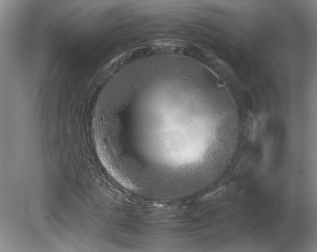 X0000082170821200701191305