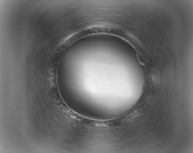 X0000082170822200701191305