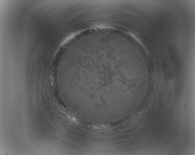 X0000082170823200701191305