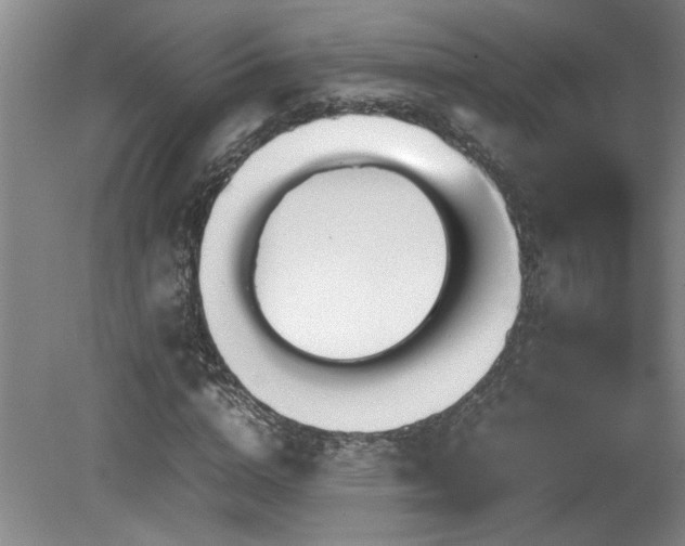 X0000082170824200701191305