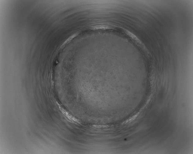 X0000082170825200701191305