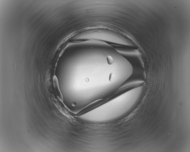 X0000082170826200701191305