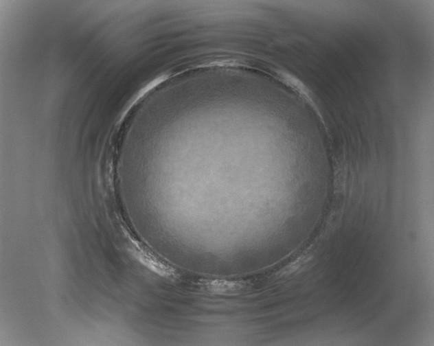 X0000082170827200701191305