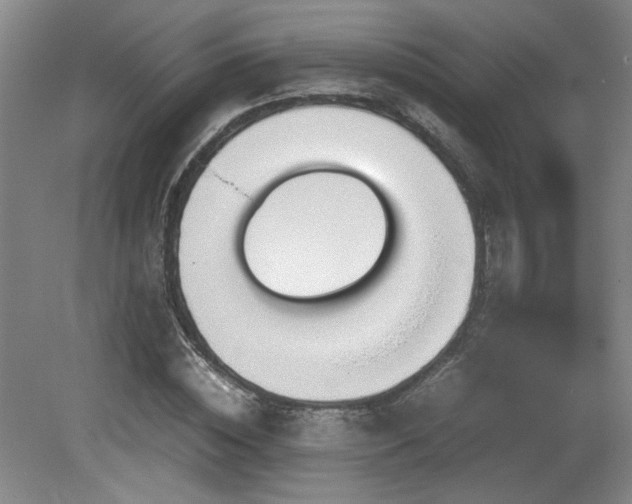 X0000082170828200701191305