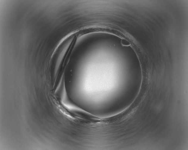 X0000082170830200701191305