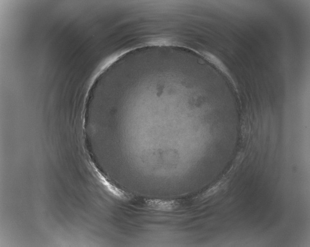 X0000082170831200701191305